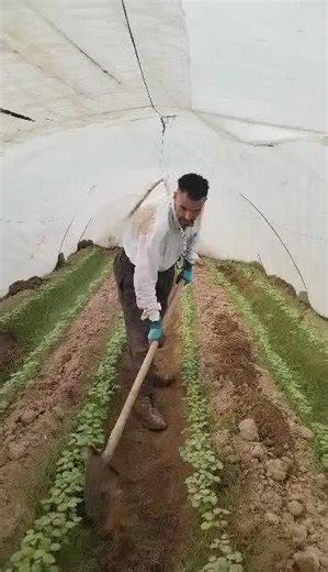 فيديوهات أنشأها Jabba Al Janabi (@j_5_020) باستخدام الصوت الأصلي - Jabba Al Janabi