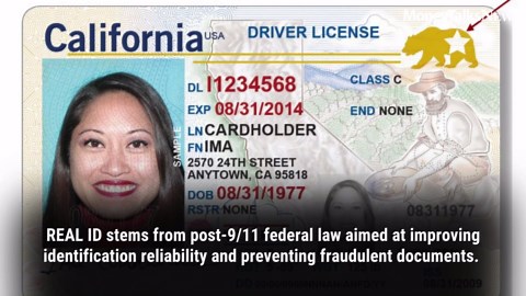 Your Airport Experience Just Changed: 3 Major TSA Updates You Need to Know