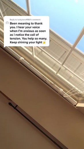 Andrew Bird on TikTok