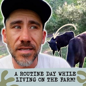 26K views · 813 reactions | All The Small Jobs For a SUCCESSFUL Farm! | Sow the Land | Facebook