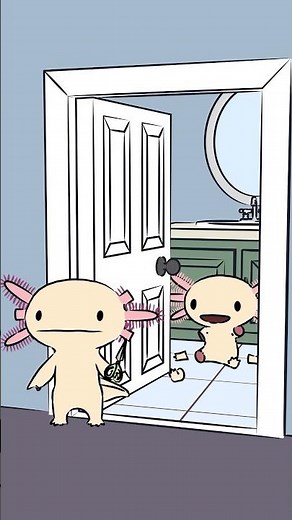 Axolotls are able to regrow their limbs, tail, gills, brain and heart in just a few weeks