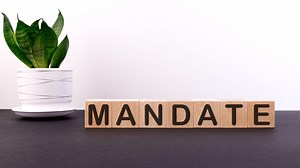 What Is an Investment Mandate? - Analyzing Alpha