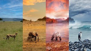 A Year on Planet Earth