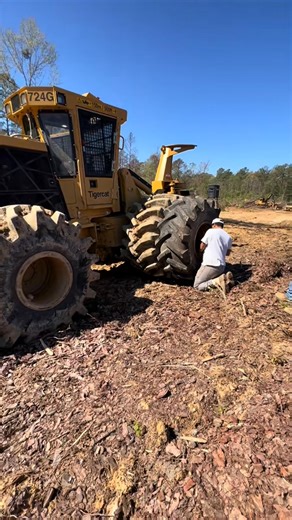 8.3K views · 203 reactions | This is painful to watch! #tigercat #reaction #logging #tree #work #forestry #fail #stuck #new #dozer | Jazlyn Smith | Facebook