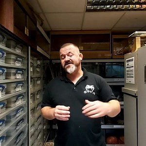 73K views · 1.3K reactions | Snakes N Adders Reptile Advice Episode: 72 Dealing with aggressive (nervous & scared) Snakes. Perseverance with interaction can greatly help change a snakes attitude towards you. | Snakes 'N' Adders | Facebook