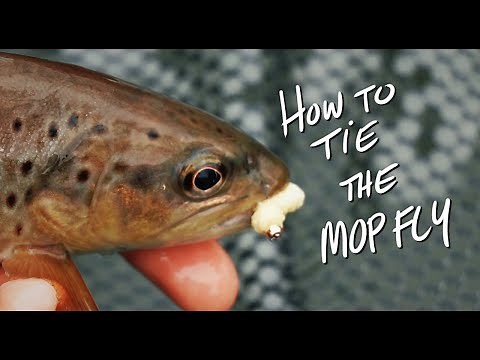 Fly Tying For Beginners | The Mop Fly | How To Tutorial