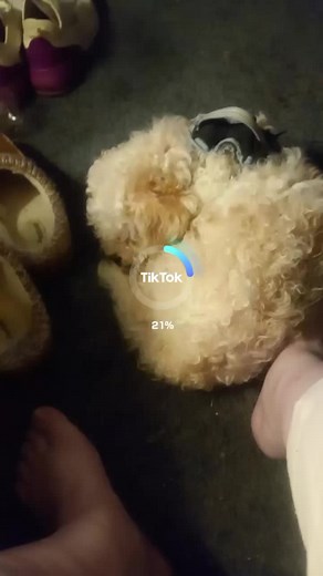 Hicks Jana (@janahicks7)’s videos with If You Love Her (Sped Up Version) - sped up nightcore