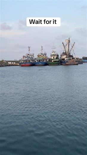 Did He Make It Back to the Cameraman?