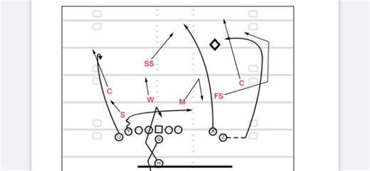 Dagger variation from the 2024 Vikings