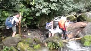 Trek 599 Log Crossing | Kokoda Trekking