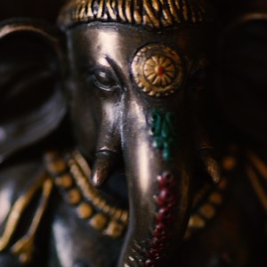 16 reactions | Connect to the greater consciousness with at-home meditation and yoga practices. | Yoga on Gaia | Facebook