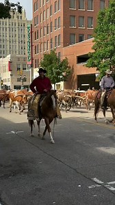 323K views · 11K reactions | Little Bitty  Alan Jackson | รุ่งรัชนี แซ่ลิ้ม | Facebook