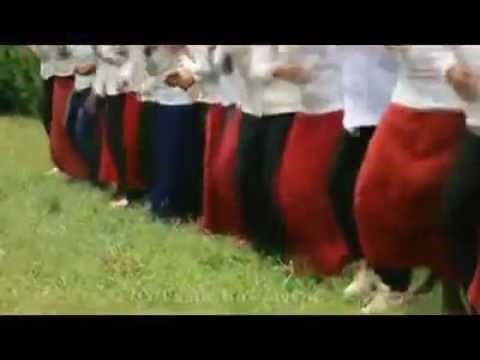 Farfaana afaan oromoo haara