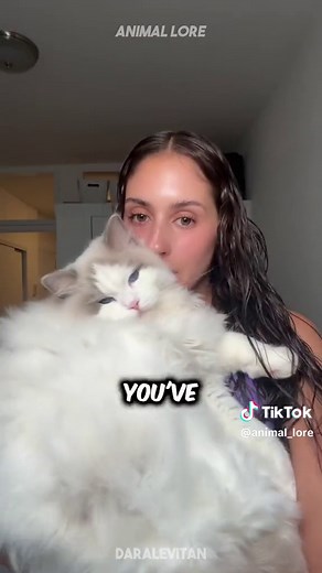 ANIMAL LORE on TikTok