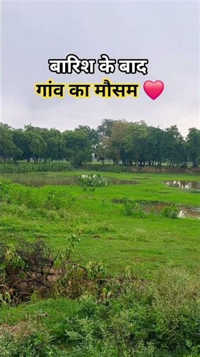 बारिश के बाद गांव का मौसम ❤️🙏 #villagelife #village #villagevlog #villagelifestyle #farming