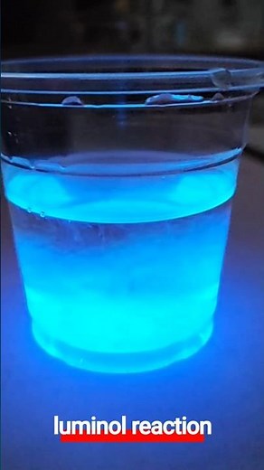 luminol reaction 루미놀 반응