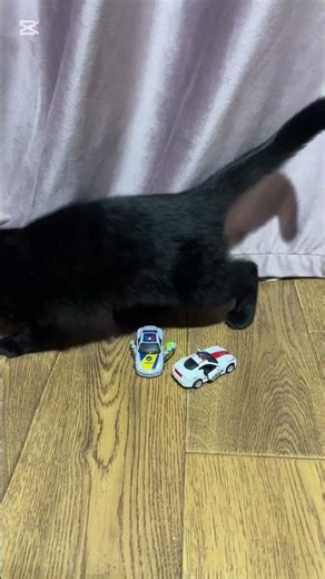 ASMR “Kiss Me” Triggers for Sleep & Relaxation | Soft Sounds, Tingles, Gentle Mouth ASMR