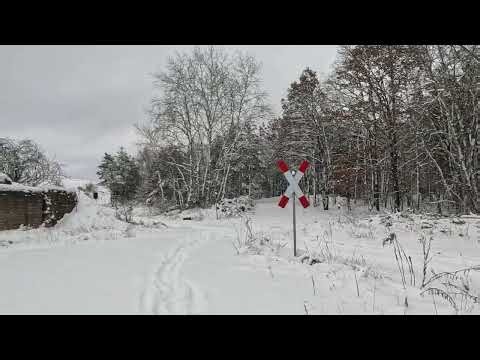 Walk in the Snow: Hohenschöpping to Bernsteinsee (Oranienburg)