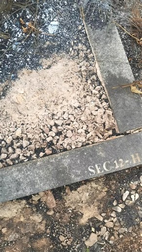 WHAT IS HAPPENING WITH UBUNTU IN TERMS OF RESPECT AND DIGNITY FOR THE BLACK NATION🙏 even in death? We're not safe, even when we're deceased they burn our last home 😭😭😭😭😭