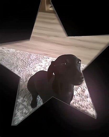 editing practice // #blurrr #edit #multi #finalgirl