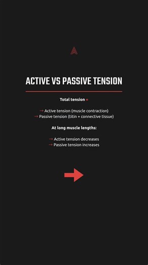 The Length-Tension Relationship