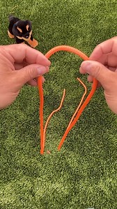 58K views · 674 reactions | Improvised dog harness #knottutorial #dog #rope | Tie Knots | Facebook