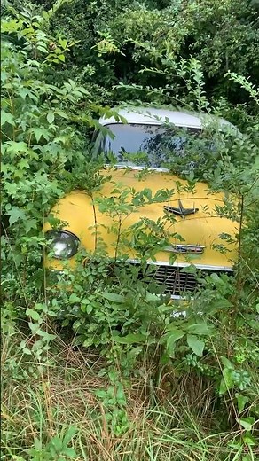THIS KILLS ME TO SEE !! abandoned cars, rat rods, antique cars, barn finds, junkyard cars.