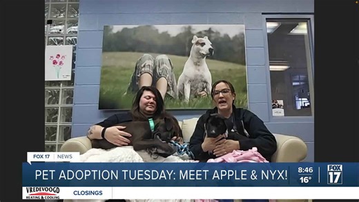 Pet adoption Tuesday: Meet Apple and Nyx