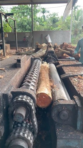 Core peeling wooden working factory inside 🪵👌|#wheelsaw #shorts #plywood