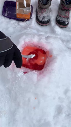 When the snow shows up, the fun doesnt stop! From snow painting and snowman building to ice experiments, sensory play, and outdoor and indoor games, these snow activities turn winter days into the best kind of play days. Perfect for bundling up outside—or bringing the snow fun indoors. Save this for your next snow day ❄️ Comment SNOW for all the ideas! | HApPy ToDdLeR PLaYTiMe