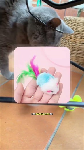Juguete para Gatos 🐱 #gatos #mejoresjuguetes #gatosdomésticos #juguetesgatunos #juguetesparagatos