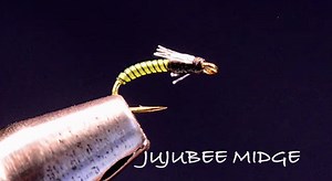 Jujubee Midge | Fly Tyer