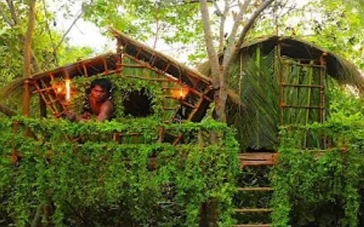 【原始建造】如何在丛林深处打造一间的漂亮树屋【Focus Primitive Life】