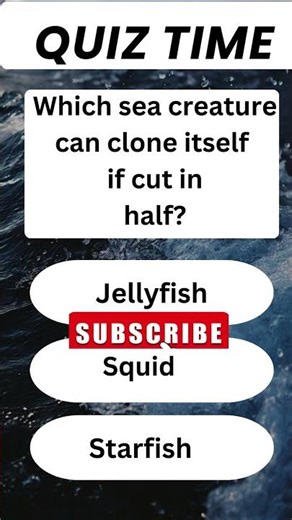 Do You Know This General Knowledge Quiz! ❌#Shorts #Quiz #GK #Trending #QuizBlitz