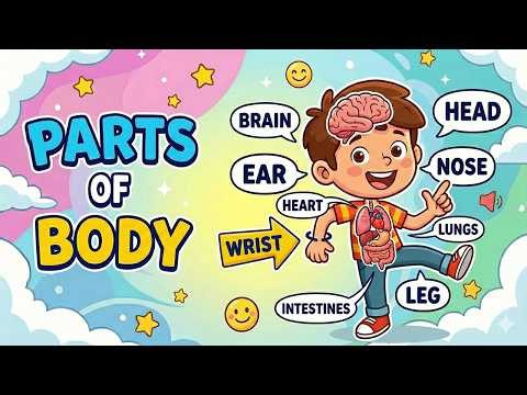 Body Parts Name for Kids | Learn Parts of Body in English | Human Body Parts