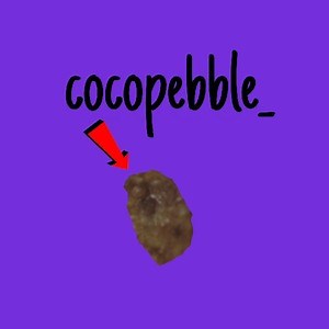 cocopebble_ - Twitch