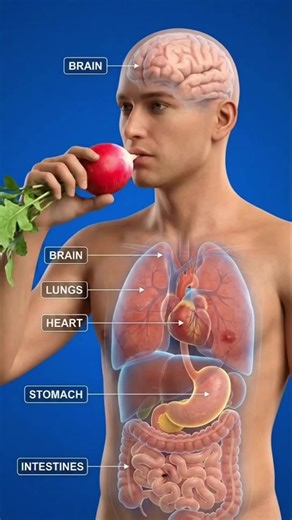 ✰Science Craft34🎉🌟 (@science.craft34)’s videos with original sound - Science Craft