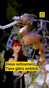 6.7K views · 15 reactions | Es gibt so viele faszinierende Tiere, die wir gar nicht kennen. Wir haben fünf Arten rausgesucht, die auch ziemlich verrückt aussehen. | WEB.DE News | Facebook