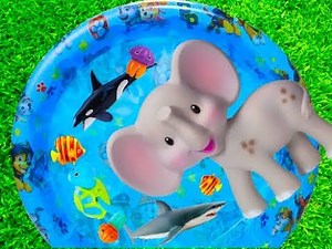 Learn Colors with Wild Animal Toys Sharks in Blue Water Tub Pool Toys For Kids