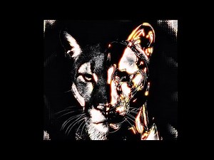 WHAT THE FRICK (MEGA SLOWED)