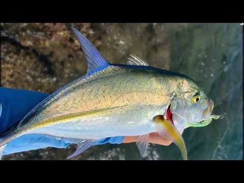 Fishing for Papio with HOMEMADE Flies! | Hawaii Fishing |
