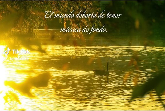 Exploring the Power of Music and Emotion in Songs