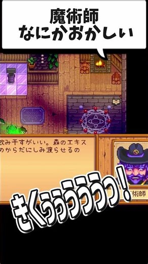 [Stardew Valley] Something's wrong with this wizard
