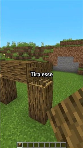 porta tipo garagem no minecraft