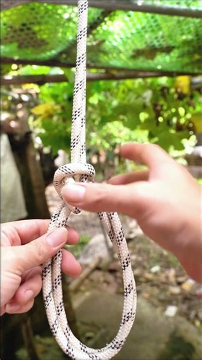 Most Popular Knots You Need to Know. #knot #rope #knottying #camping #survival