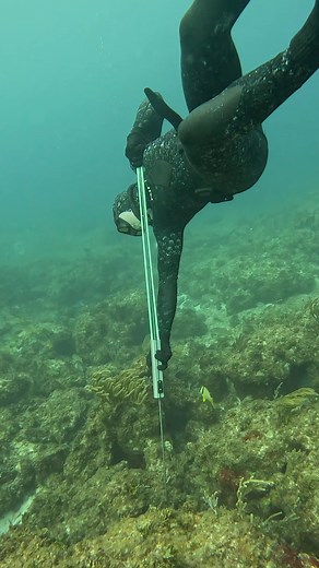 157K views · 2.1K reactions | This Spear Makes Catching Fish Easy! #fishing #spearfishing | Ryan Myers Spearfishing | Facebook