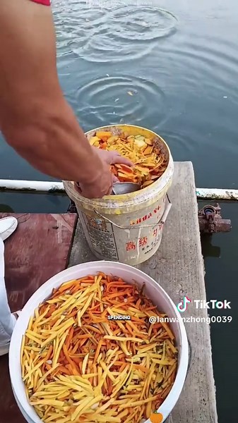 Using Pumpkins for Sustainable Fish Farming