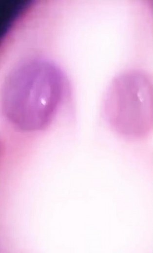 piggy nose challenge nose piggy uvula funny videos #fnf #song