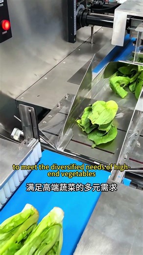 Vegetables packaging machine