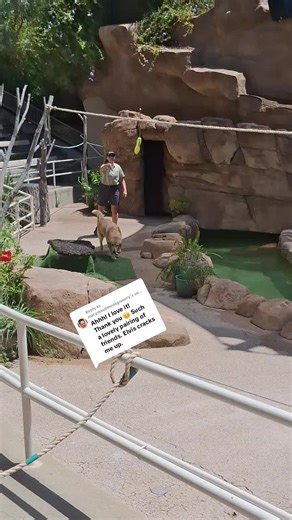 Visit San Diego Zoo's Unique 2pm Wildlife Show